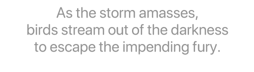The Storm